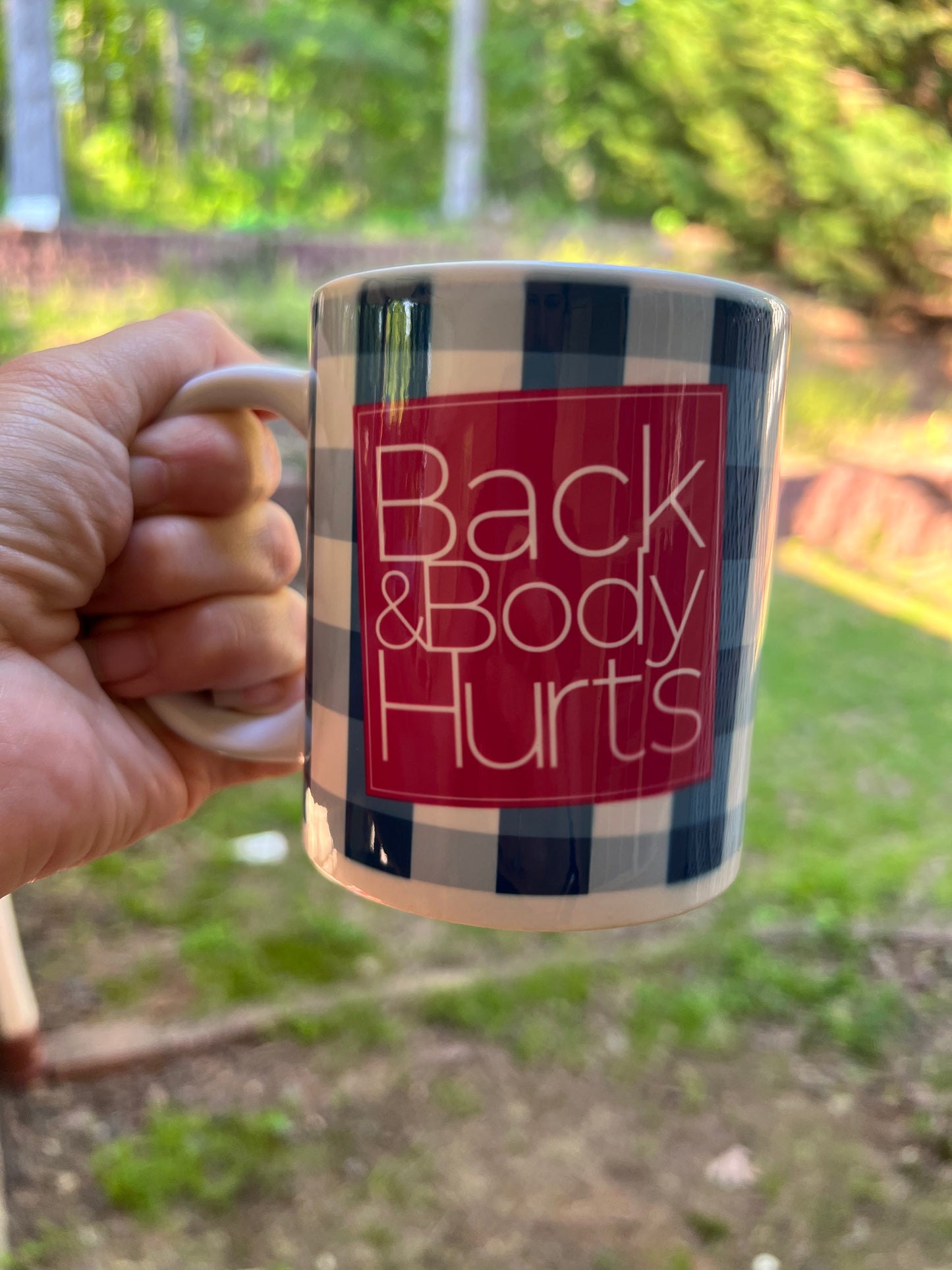 Back and Body Hurts 12oz Mug